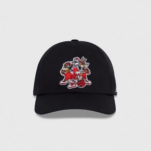 Ovo Looney Tunes? X Raptors Sportcap
